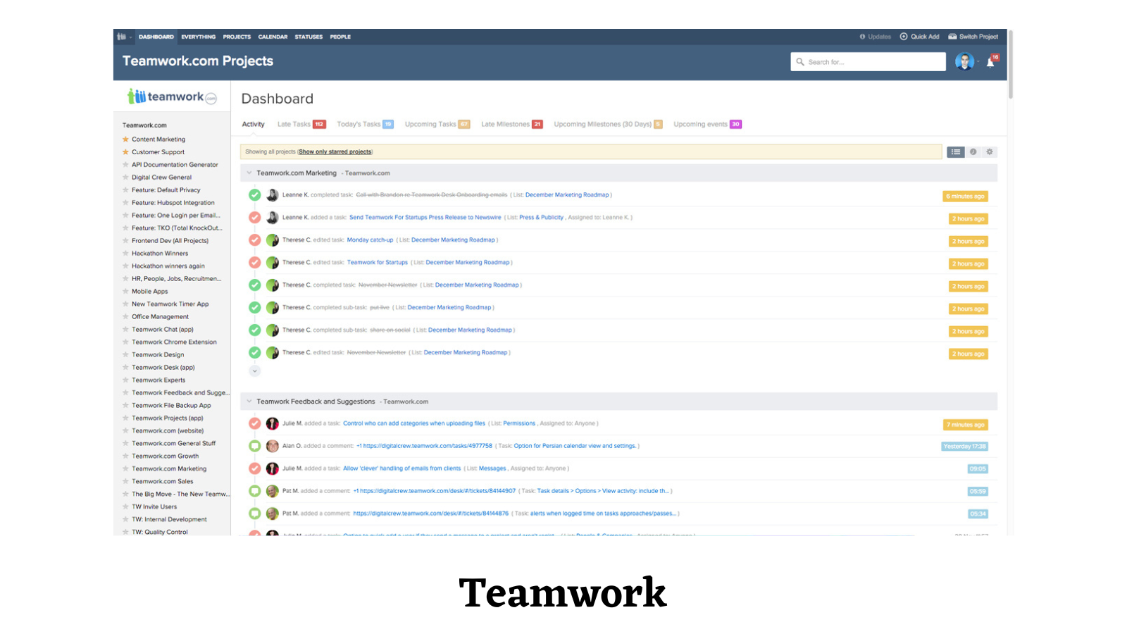 teamwork-task-management-software