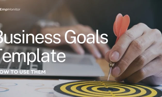 How To Use Business Goals Template in 2024?