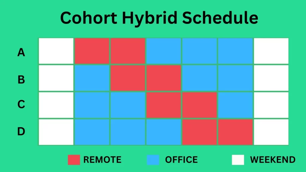 cohort-schedule