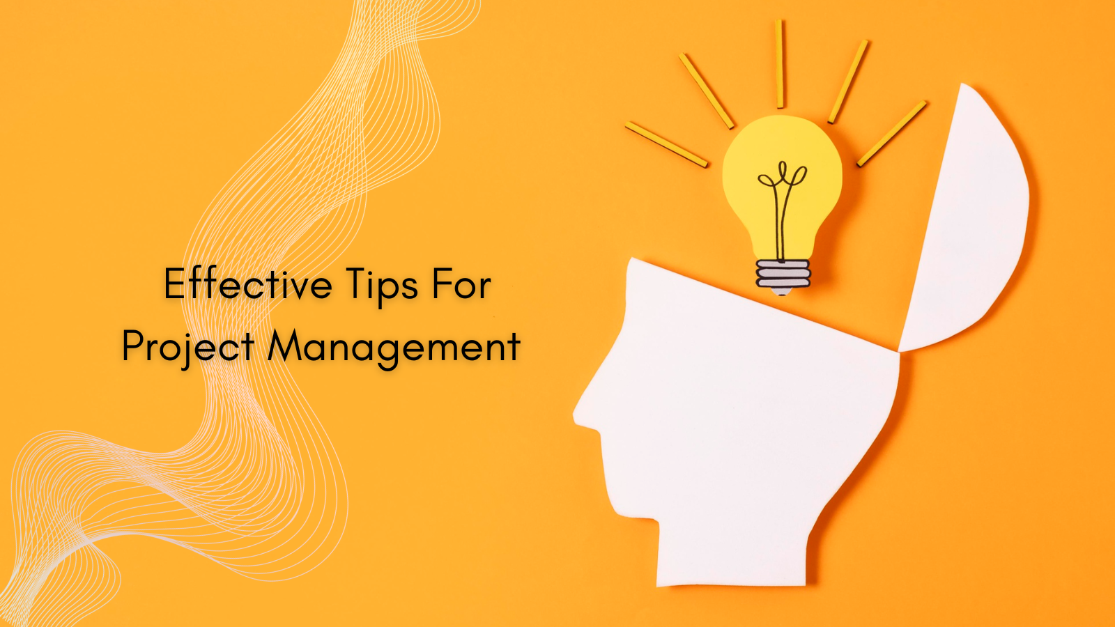 tips-for-project-management