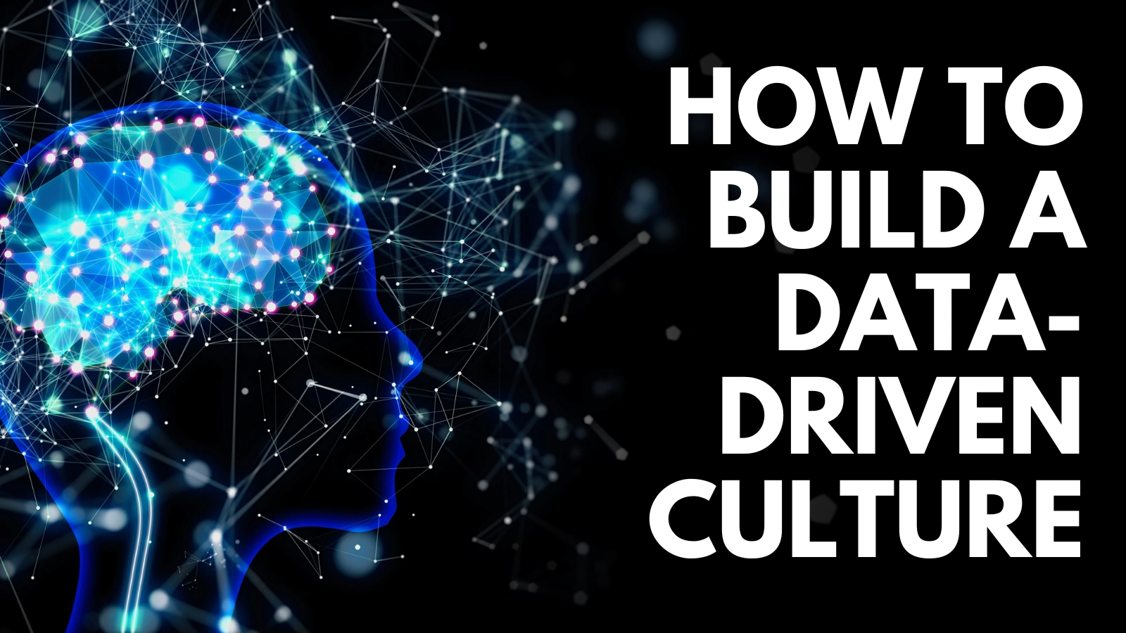 building-a-data-driven-culture-a-step-by-step-approach.