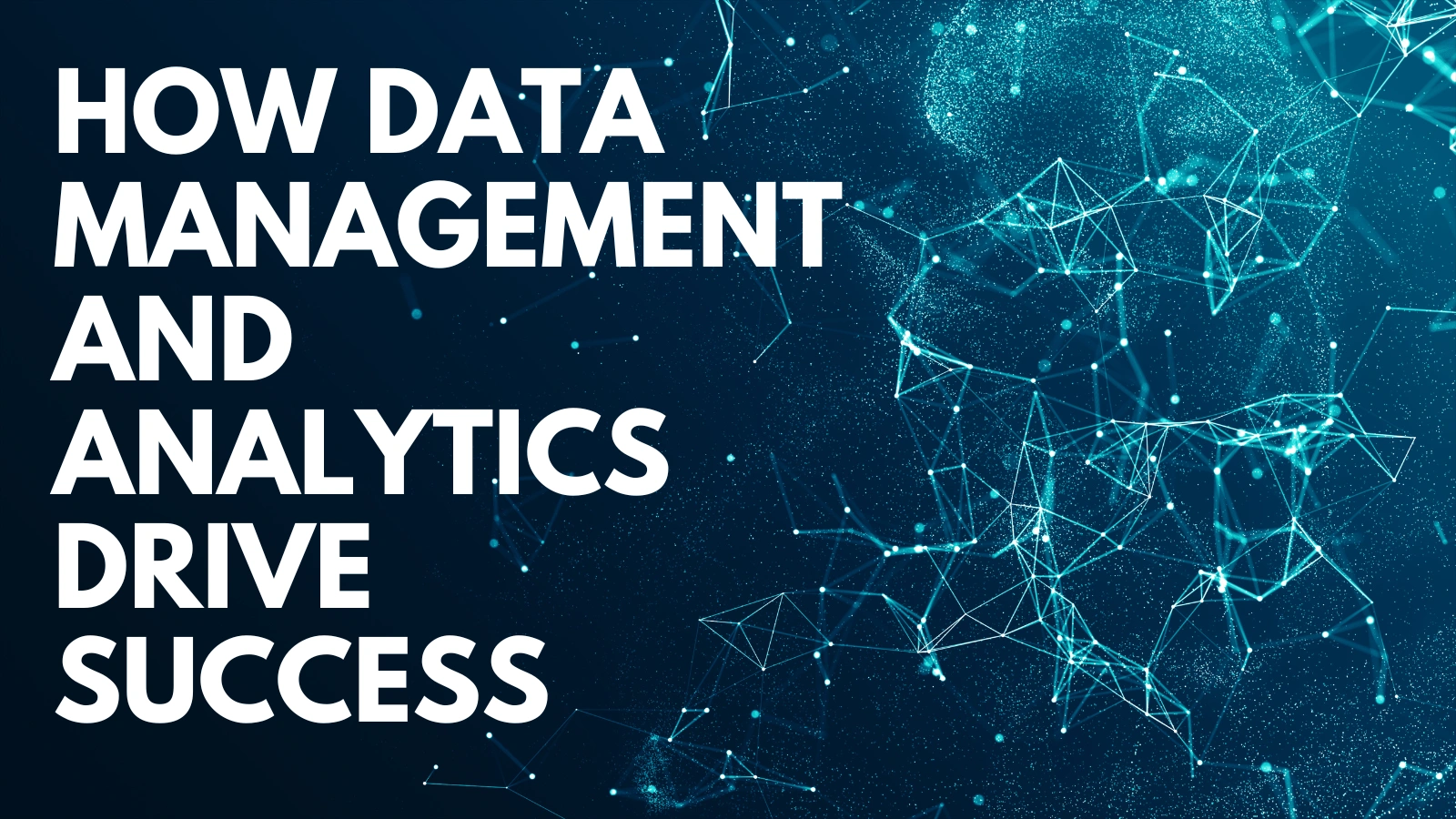 the-role-of-data-management-analytics.