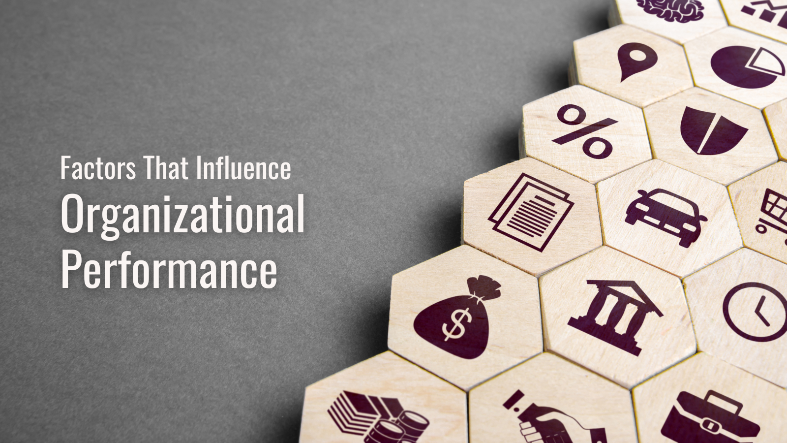 factors-influencing-organizational-performance