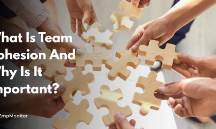 What Is Team Cohesion And Why Is It Important?