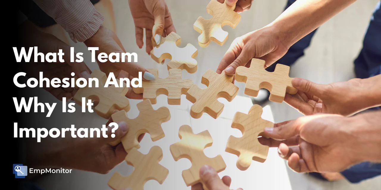 What Is Team Cohesion And Why Is It Important?