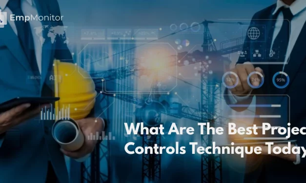 What Are The Best Project Controls Techniques Today?