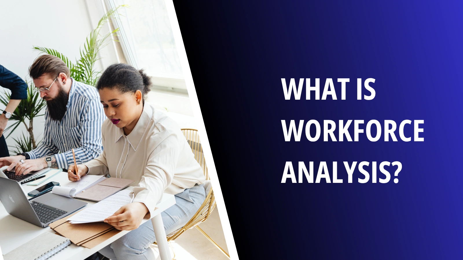  workforce-analysis