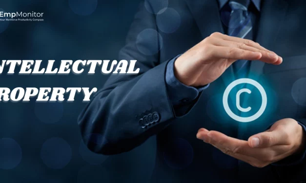 How To Prevent IP Theft and Protect Your Business Assets?