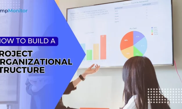 How to Build a Project Organizational Structure That Works?