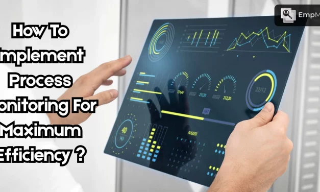How To Implement Process Monitoring For Maximum Efficiency?