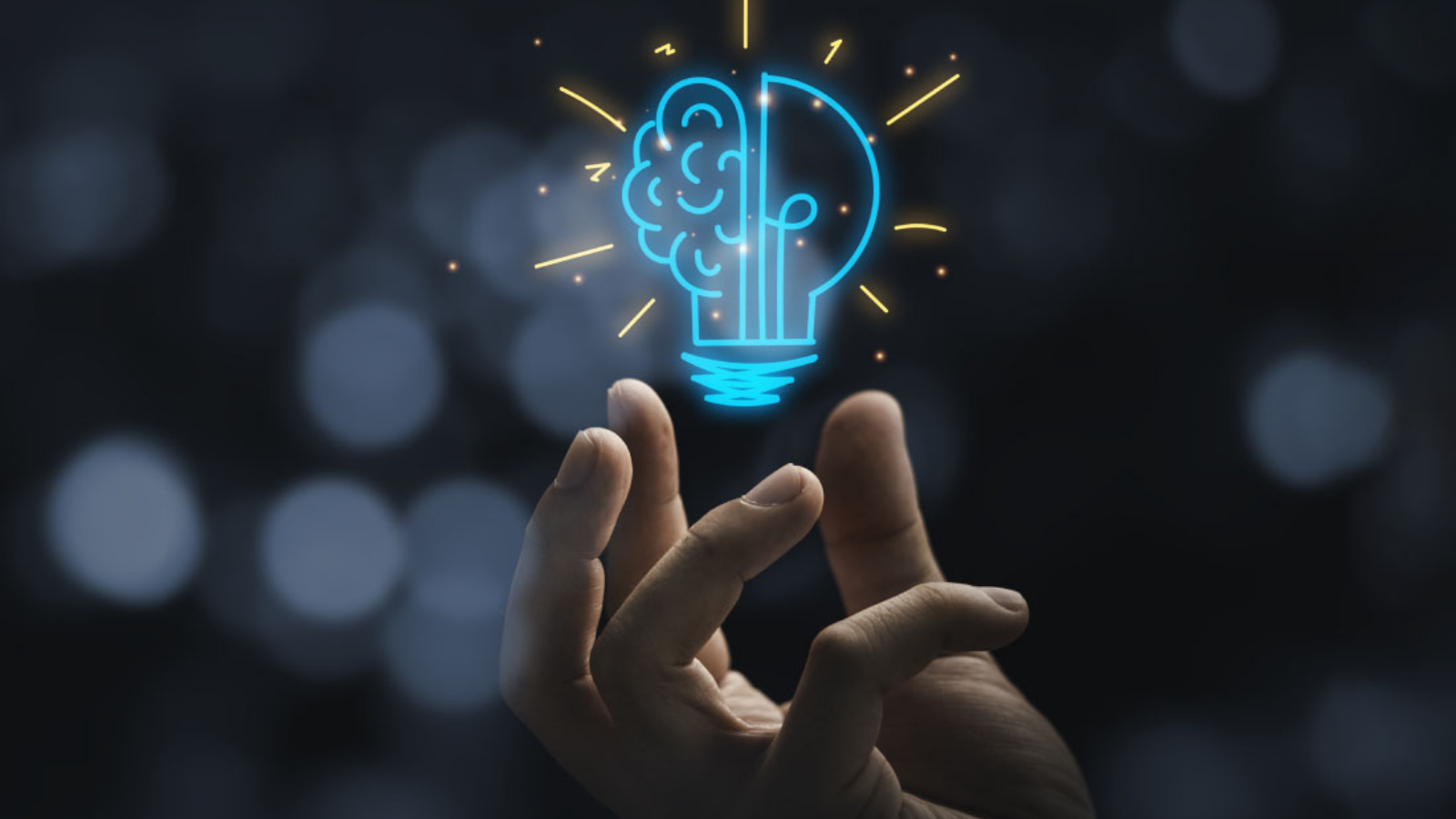 Workforce Insights workforce-insights