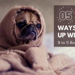 05 Best Ways to Meet Deadlines When you’re not a Morning Person