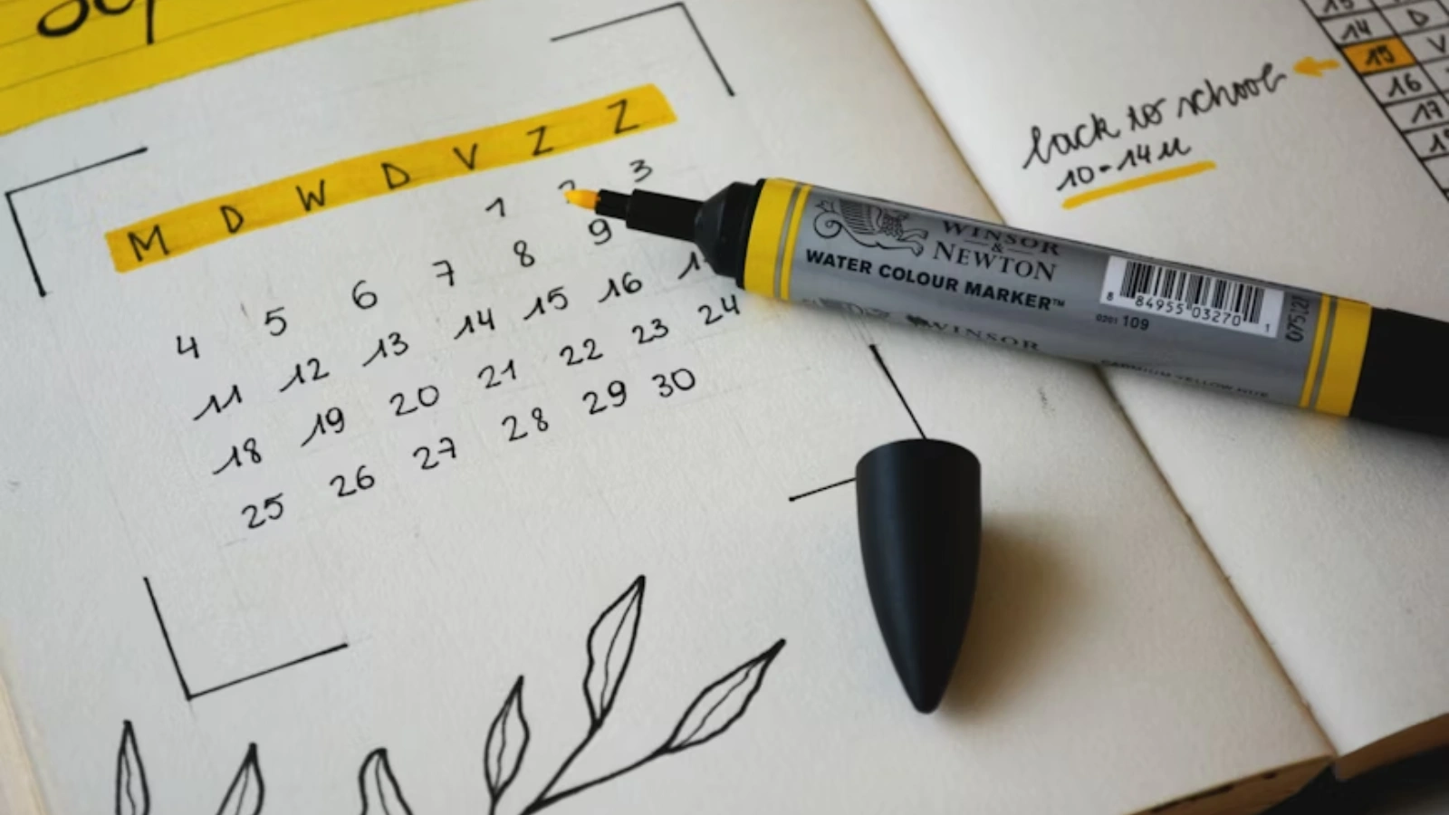 why-choose-a-biweekly-pay-period