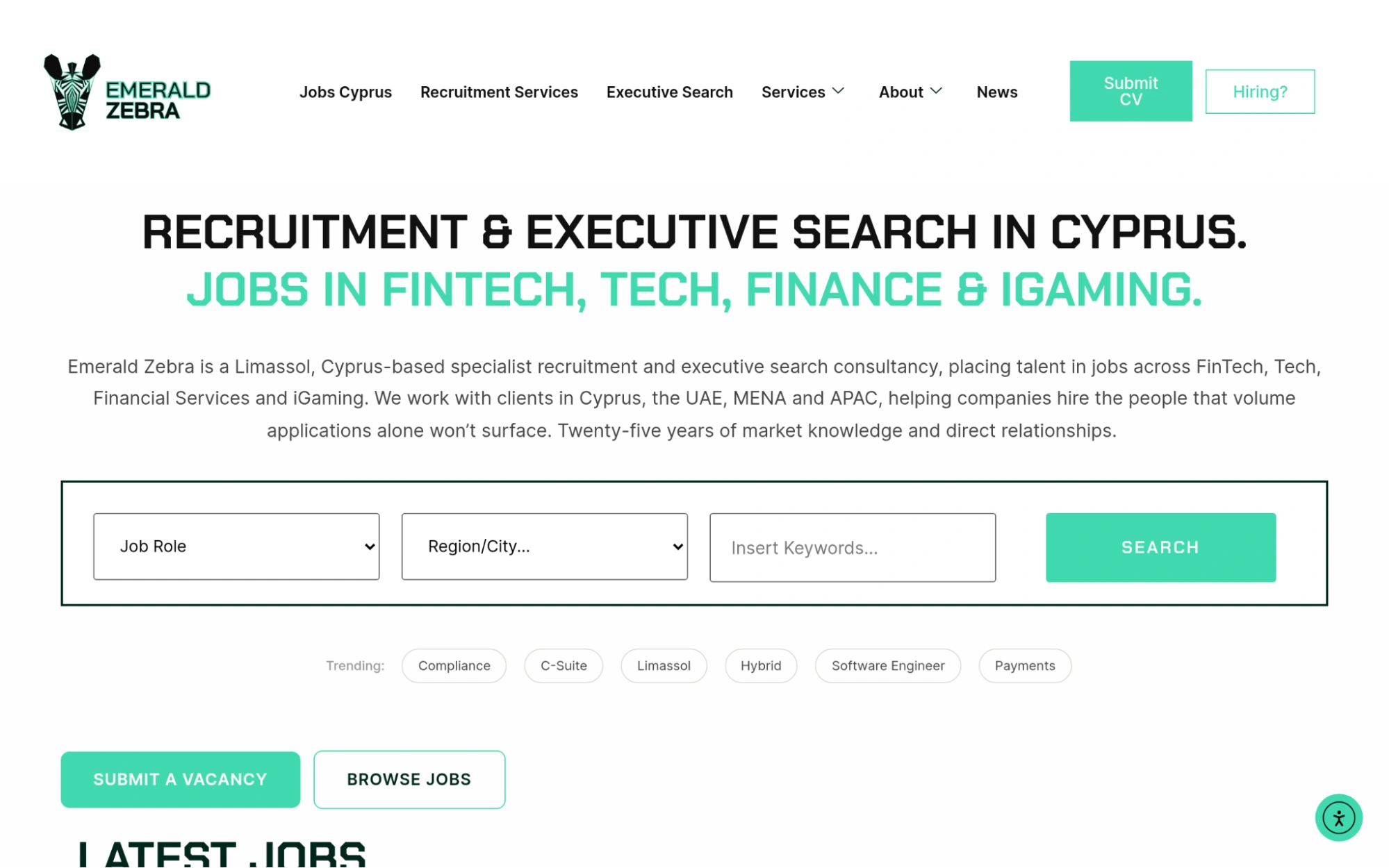 emerald-zebra-best-for-tech-and-fintech-executive-recruitment